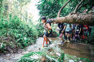 BIB: 
                            <button type="button" onclick="openModal(25471418)" class="btn btn-primary btn-sm float-right btn-popup" data-toggle="modal" data-target=".modal-high-quality">
                        <i class="fas fa-shopping-cart"></i> Add to Cart
                    </button>
                                            <button type="button" onclick="isThisMe(25471418, true)" class="btn btn-success btn-sm float-right btn-popup btn-isme hidden" data-toggle="tooltip" data-placement="bottom" title="นี่คือรูปของคุณใช่ไหม คลิกที่นี่เพื่อเอาเข้าอัลบั้ม">
                        <i class="fas fa-plus"></i> Add to album
                    </button>
                    <button type="button" onclick="isThisMe(25471418, false)" class="btn btn-warning btn-sm float-right btn-popup btn-isnotme hidden">
                        <i class="fas fa-ban"></i> Remove from album
                    </button>